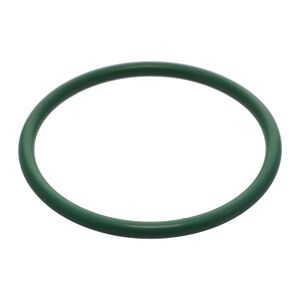 O-Ring Fkm Gp 3.100Id X.210Sec